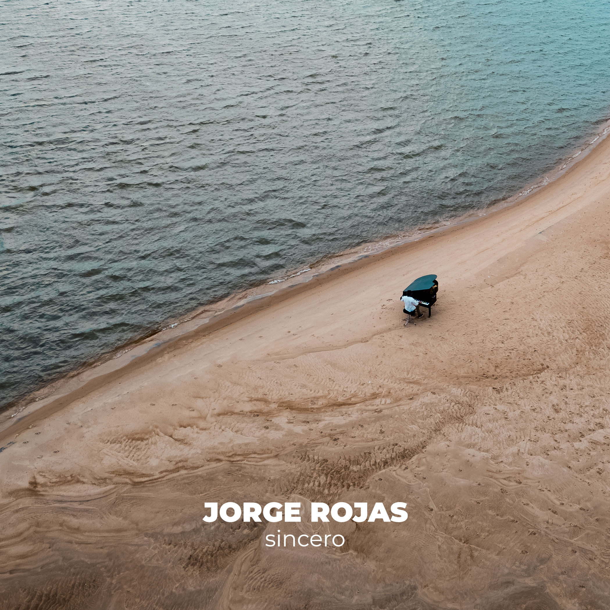 Galería Jorge Rojas